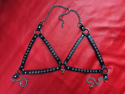 𝕭𝖆𝖉 𝕽𝖊𝖕𝖚𝖙𝖆𝖙𝖎𝖔𝖓 Harness